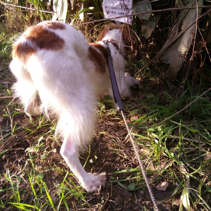 9d553f37 7e34 4e94 b105 c8fd2ad24e24 1510479237257