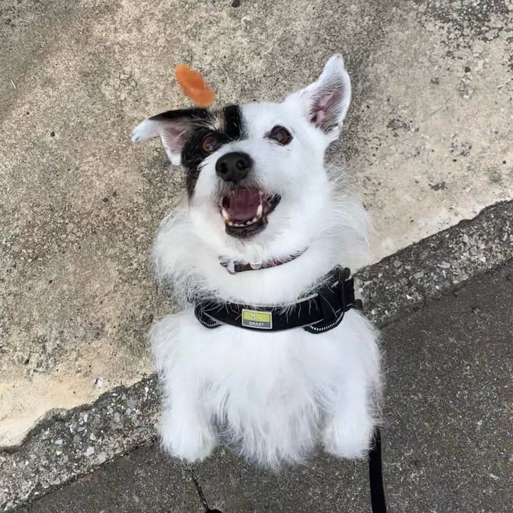 9d55ae3a e9b4 4cbe 9239 369cc8a6a320 1750632968849