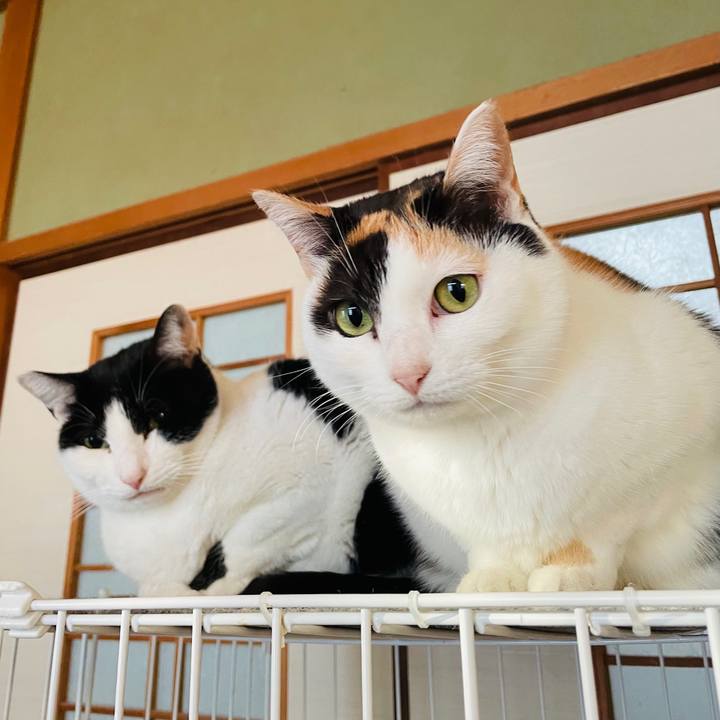 9d55df92 0f62 4088 b5f8 851602f4dfdd 1611799796169