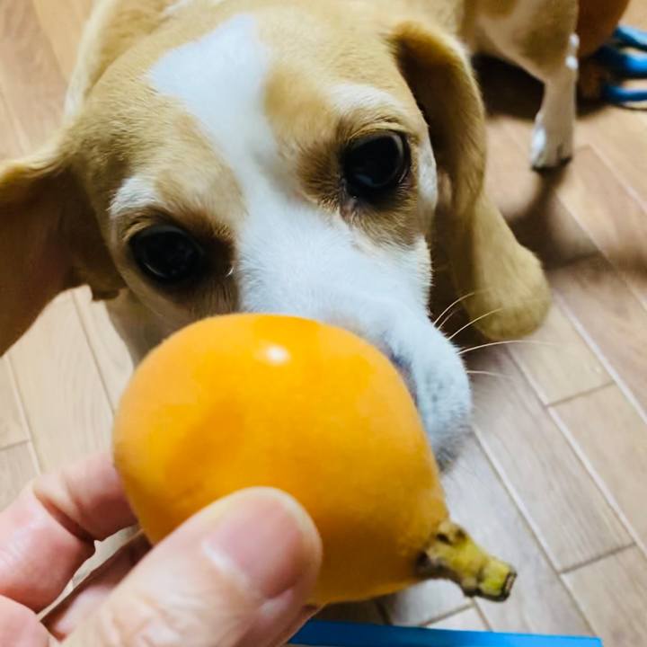 9d56128a 47af 4cbd bff3 2ea8297ddfc4 1654847606857