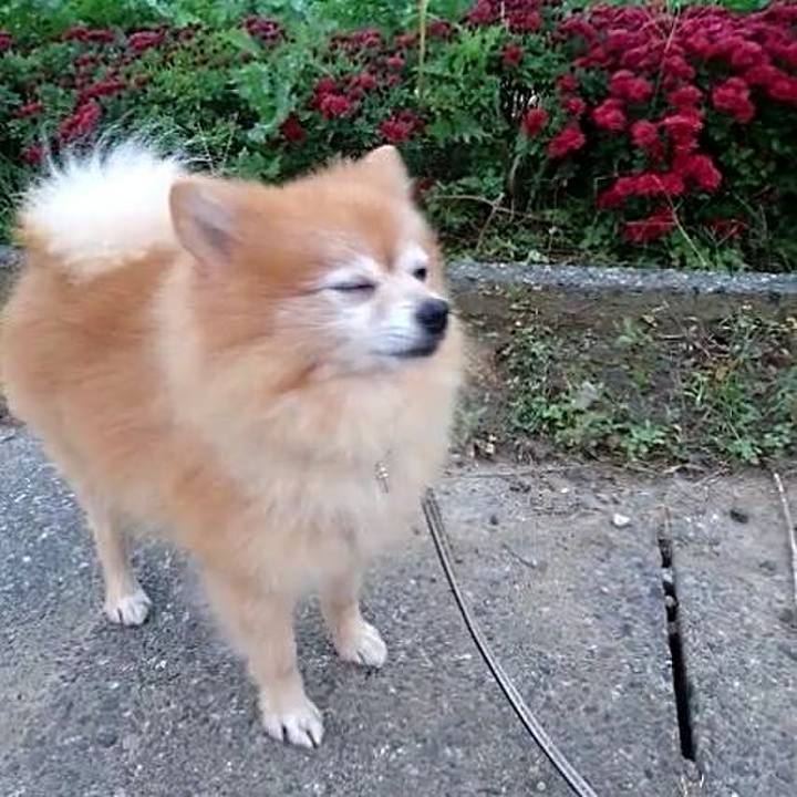 9d561c13 a1fd 4b6c a0ea 2c35552d683a 1509143755965