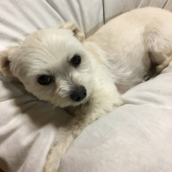 9d567c25 5abe 4b83 b434 58e81333d960 1557141629431