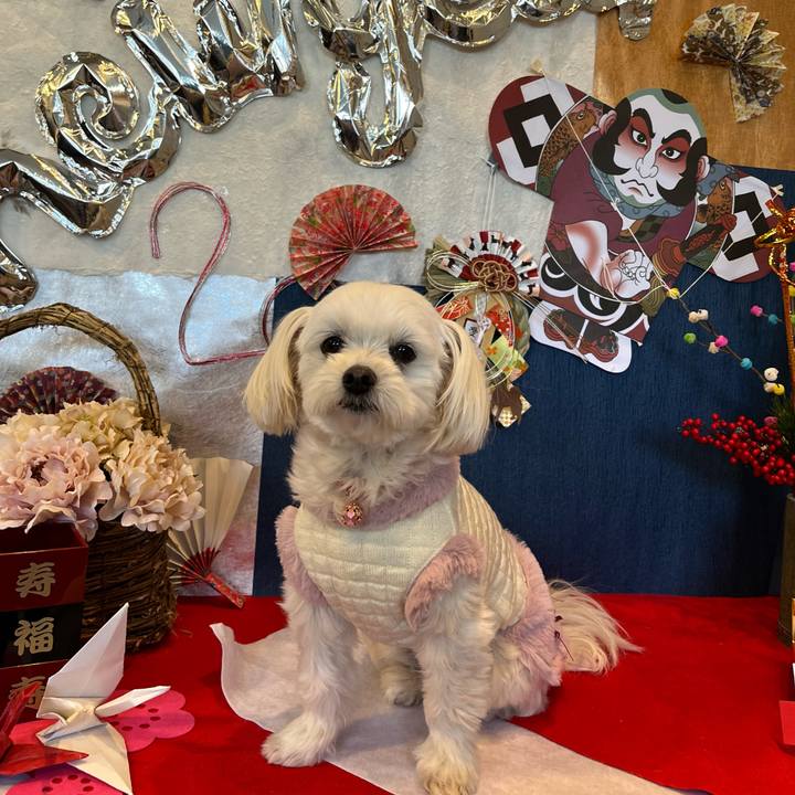 9d56bef9 d405 4628 be23 c2c06721b23d 1672820475455