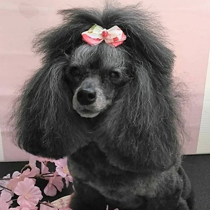 9d56dfa7 f7b5 4ae8 8a41 519bb40ed7ce 1745290731431