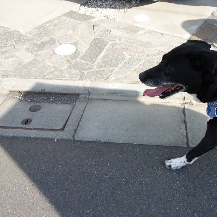 9d570031 b122 4b71 8b3f e03119b53058 1720402389285