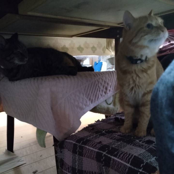 9d5718ec e6bf 456d 8dd9 96f4bc0f4454 1665096462189