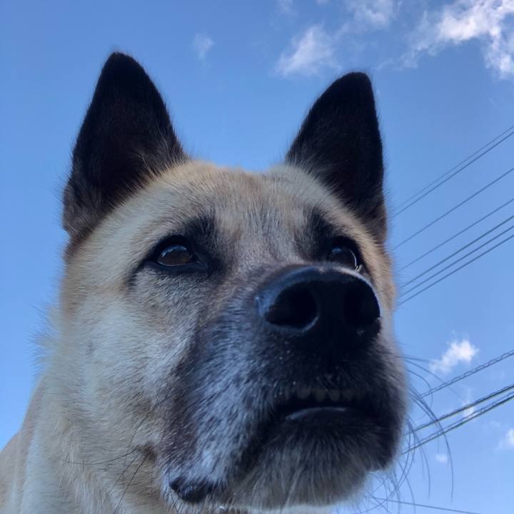 9d572f28 3483 42b1 84ff 4c14ad6ef4e6 1602328234572