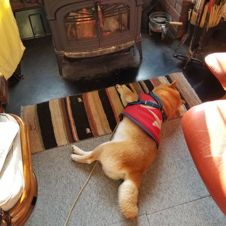 9d5731b4 f670 4caf ad5c 8caa1ab47636 1552862541737