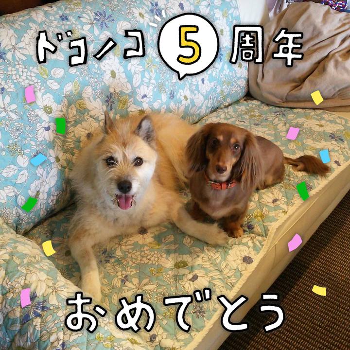 9d576883 38c8 436c 9eb5 96e2fee01f2e 1622859883004