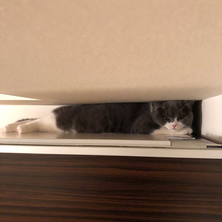 9d576e6d ccff 42de a89c 11c71dfd8e87 1516195292613