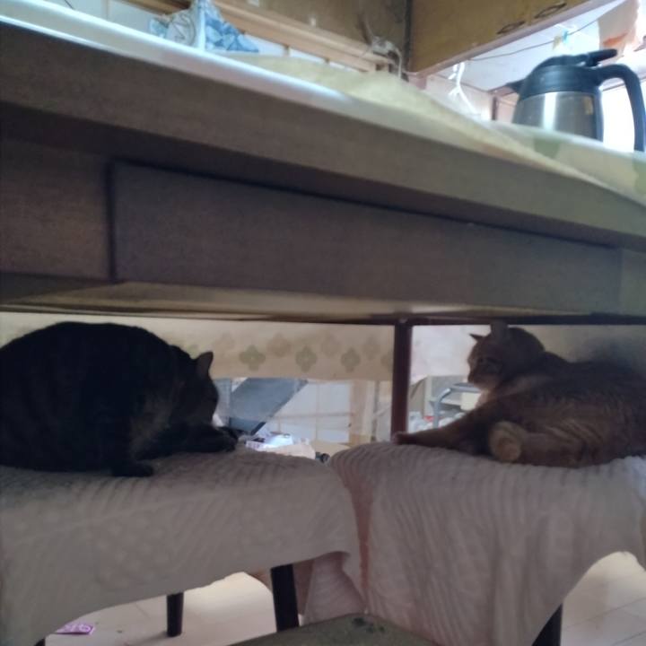 9d576f7e 1253 4aa2 8c2b c7629828b12d 1675206387381