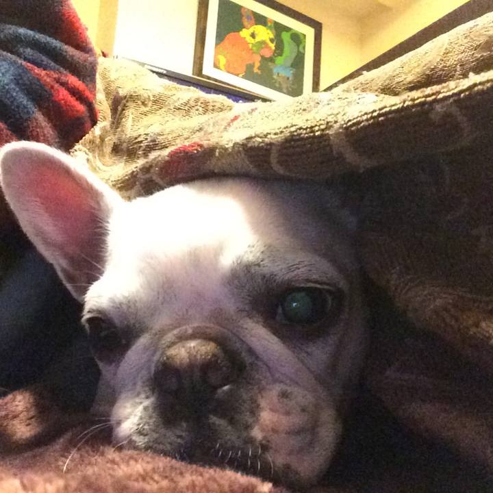 9d5775fc 9562 4470 83d6 ea8b49221523 1517830781169