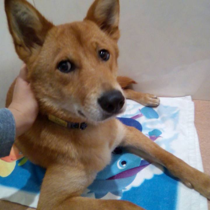 9d578f3f e1bf 48b6 85cd 0fc7c6b24b87 1529116360831