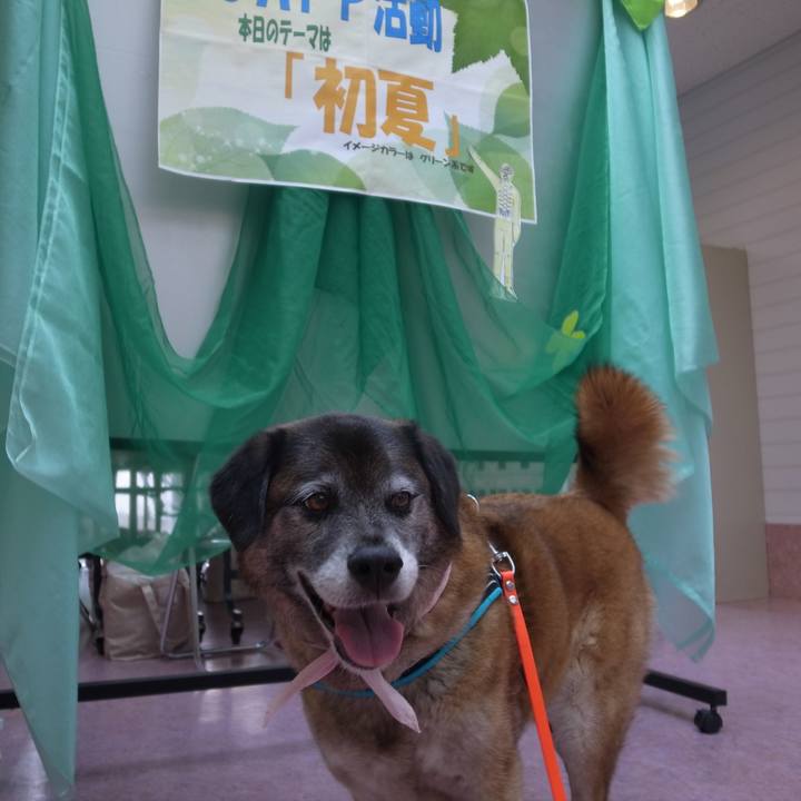 9d579dff 0444 4f98 a00e 1c6474bd61eb 1608077451788