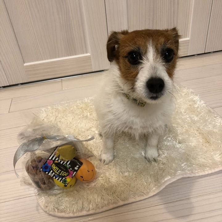 9d57ba03 b59b 46d0 855d 7b525353fdab 1584625734862