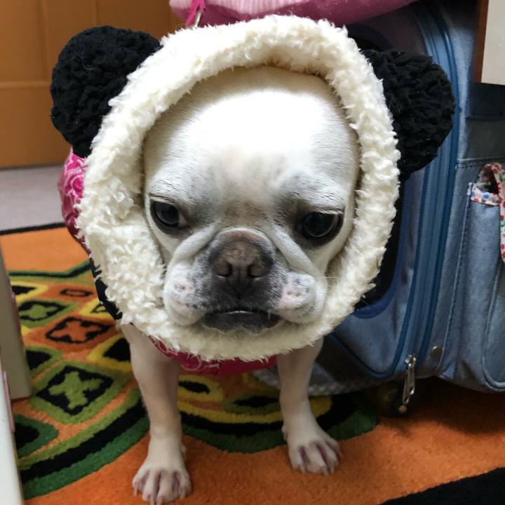 9d57d176 83ab 430a a38d 0a5809d77efb 1549857667949