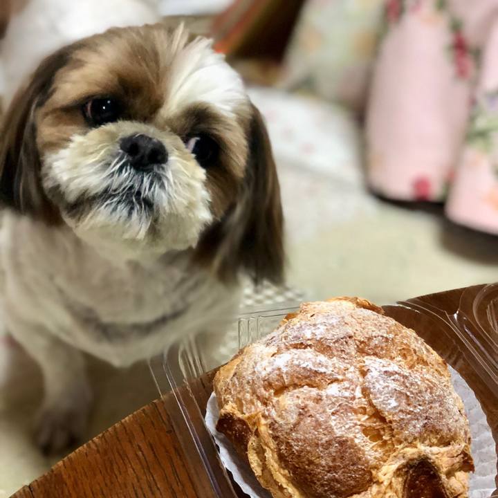 9d57d9d9 af81 4c85 ae44 303239b72497 1523788812369