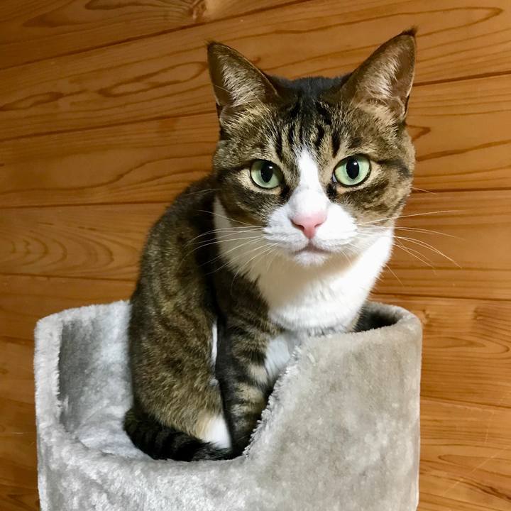 9d57f1f0 67ab 46cd 8b70 d36cfd77caa4 1521710672533