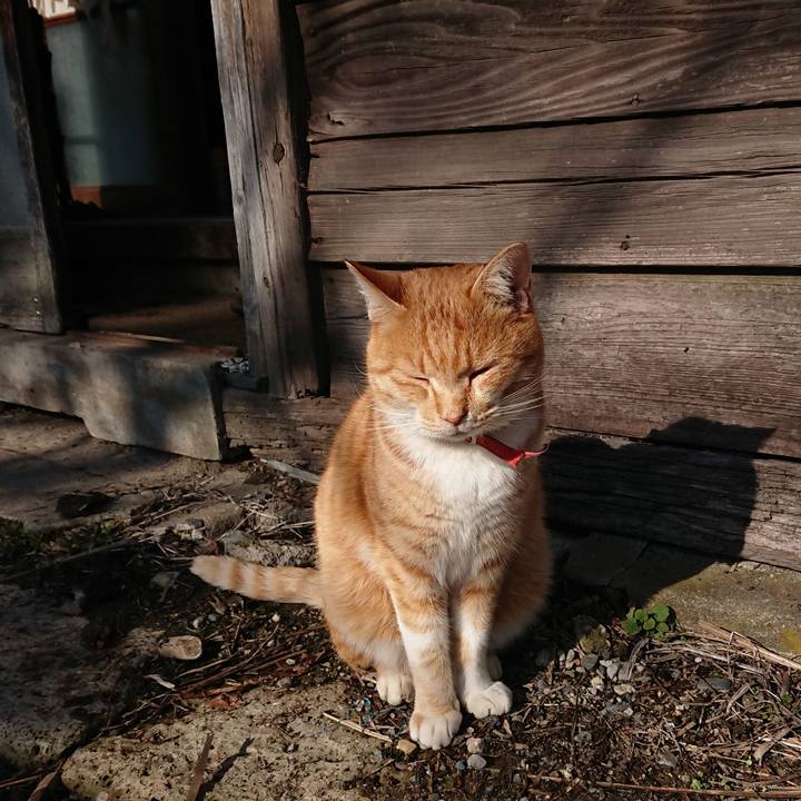 9d57fac3 4339 40a2 8c24 dba7a5ef0029 1576291873769