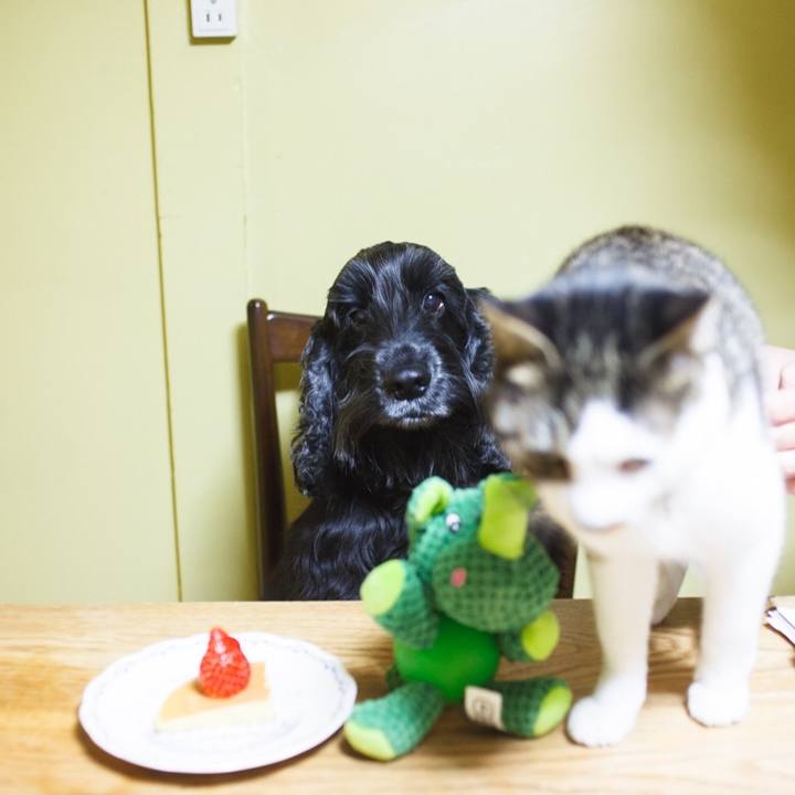 9d5820fa 8631 417a a0b9 bc7d77b201a7 1512990018557