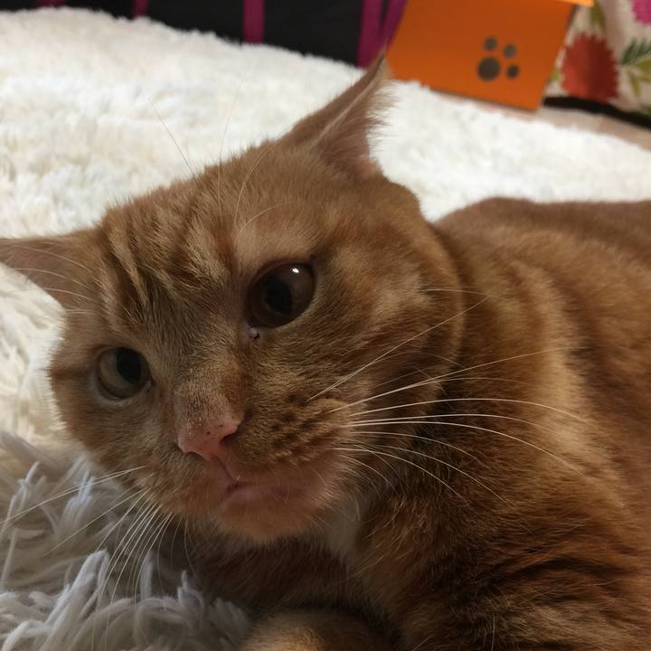 9d58553f e690 470d 8dd6 00f8349d93ff 1539296483661