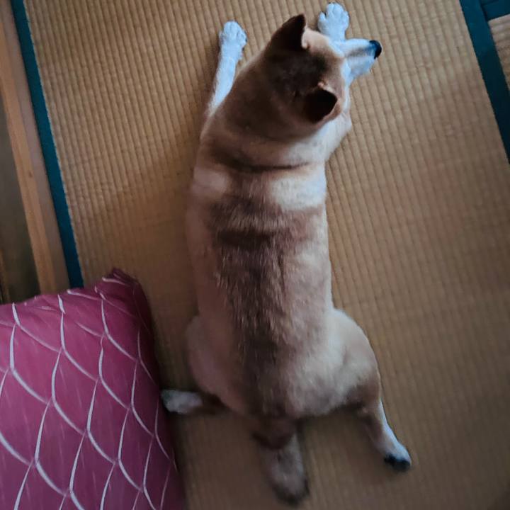 9d5869e9 8dff 4ca7 a061 2e2a5881155e 1728107459391