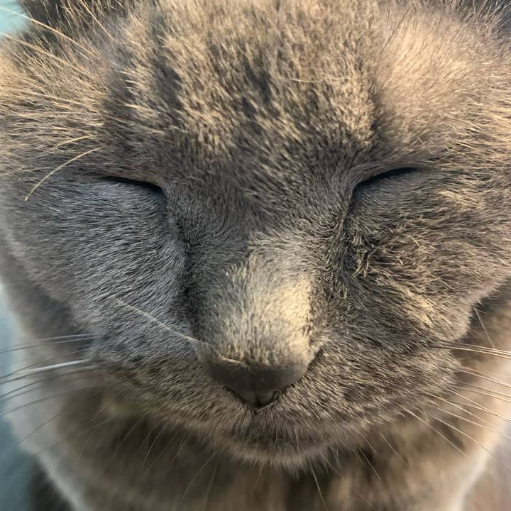 9d589486 1e0f 4953 9ed9 c2406765805e 1722398203598