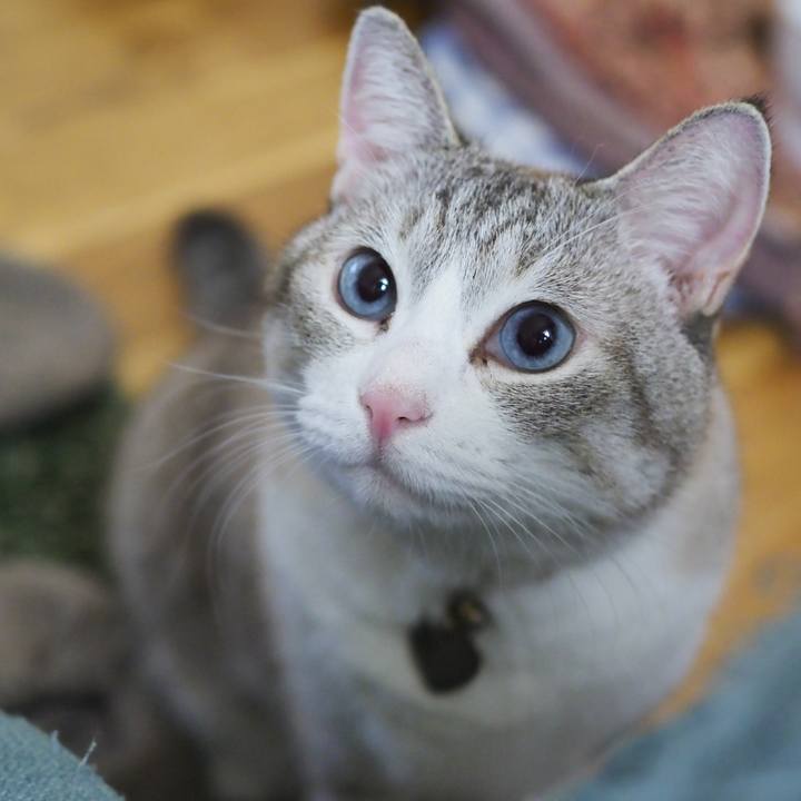 9d58d41b b63f 4eb3 b27e 226d4415e67e 1663990394111