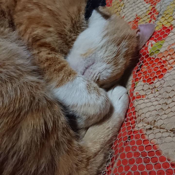 9d58decc e410 4fce b125 378053c1ba3e 1560431867834