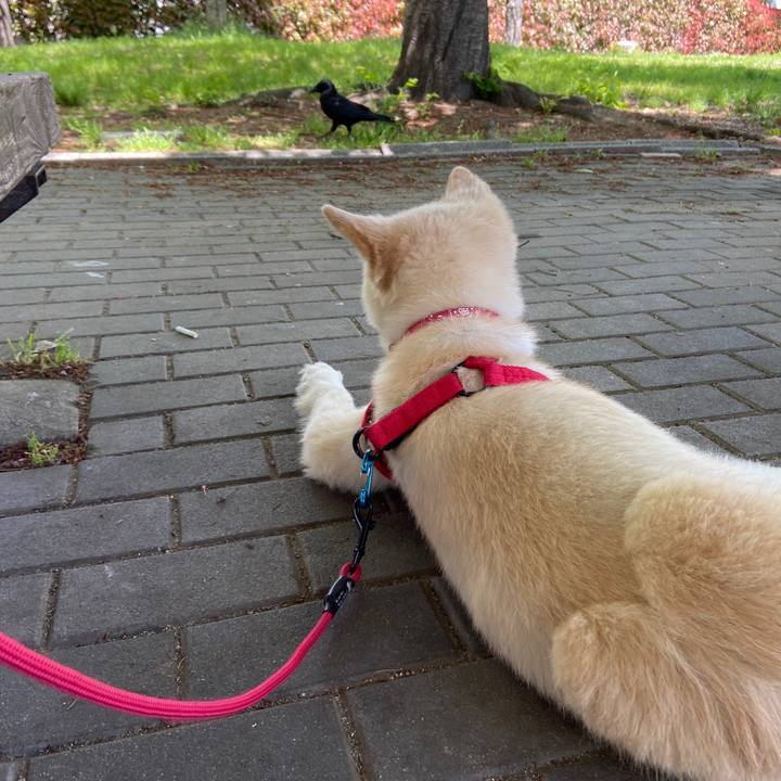 9d59063f 2e0c 4af9 bc00 4866162c73d1 1682295385196