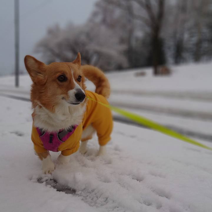 9d590ef0 620f 4ddb 8878 be0579a7c4e1 1772667190229