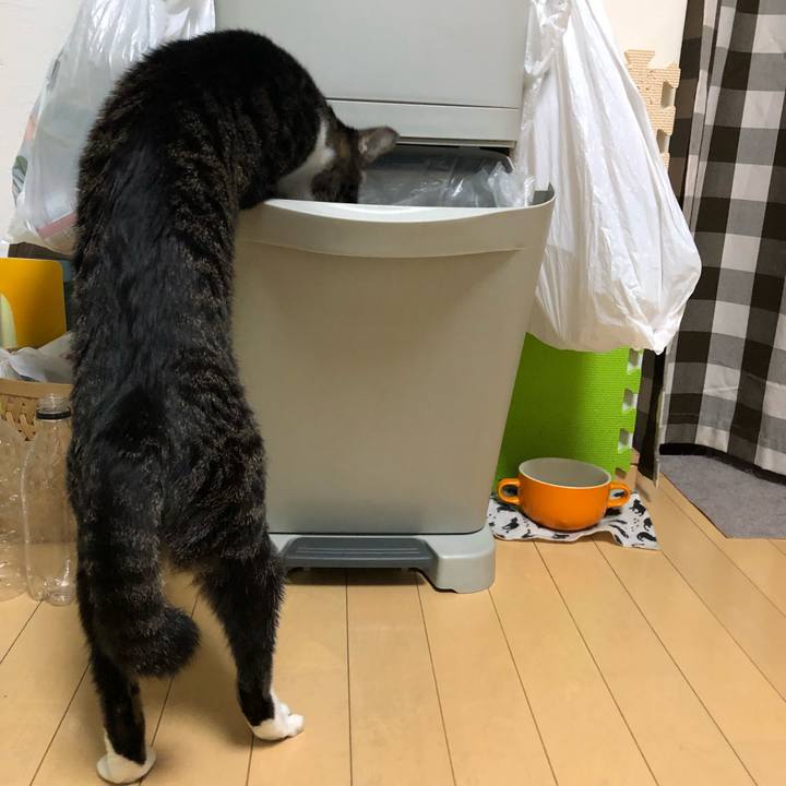 9d592a5a cdbd 4fba a99b ec33f41cf283 1548968979860