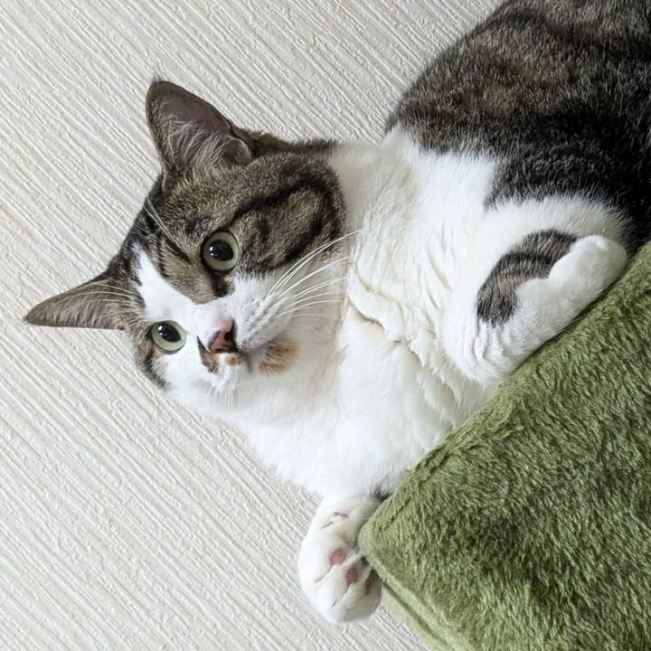 9d59afb9 4f0b 47a9 b6b3 e813cd8b90da 1721471385436