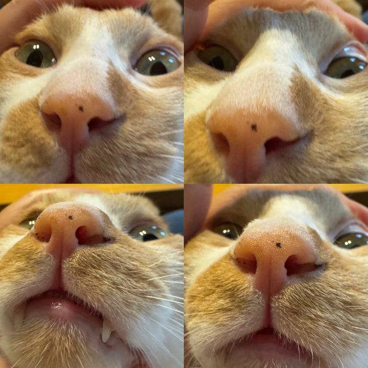 9d59b790 5c47 43d9 b0d3 e3e640ef5b59 1759841040664