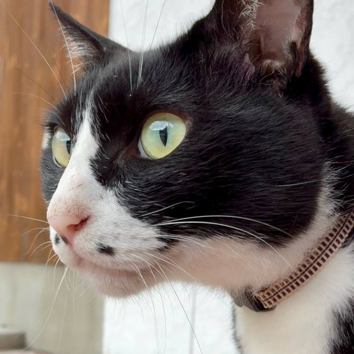 9d59ca67 7498 45d8 80cc a433a6dfa1ac 1750643204088