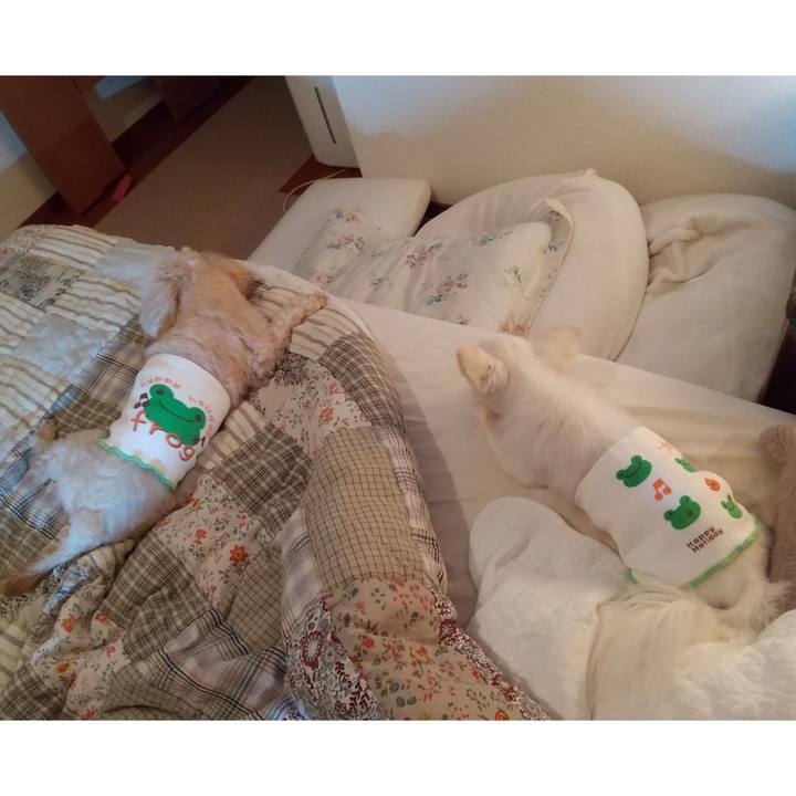 9d59d243 5a99 4288 80ae e967707d07bd 1626696763582