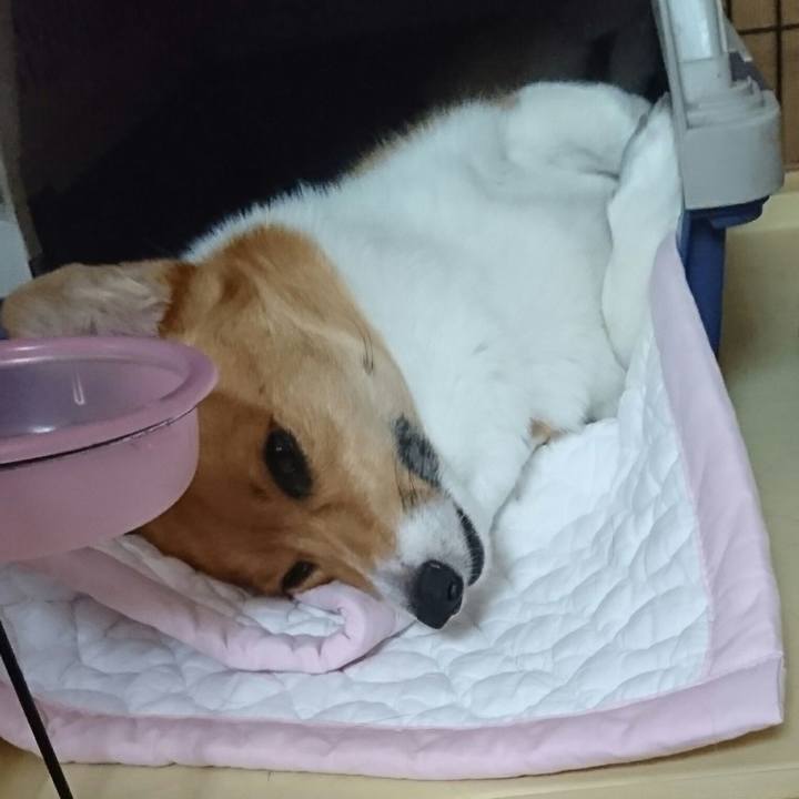 9d59d462 5e6f 4ad7 9b76 828b500d3278 1530847694409