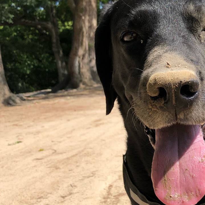 9d59dc92 7596 4f44 9ae7 41ce1bf1cc4a 1654520740164