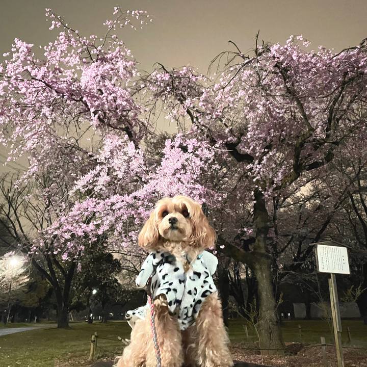 9d59edd6 6059 46b3 958e 78ec1ed5b5c4 1648548624362