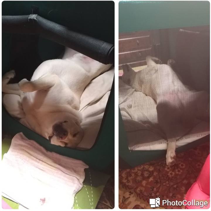 9d59f94d 095f 4bef b114 17ece2955fdf 1571634924023