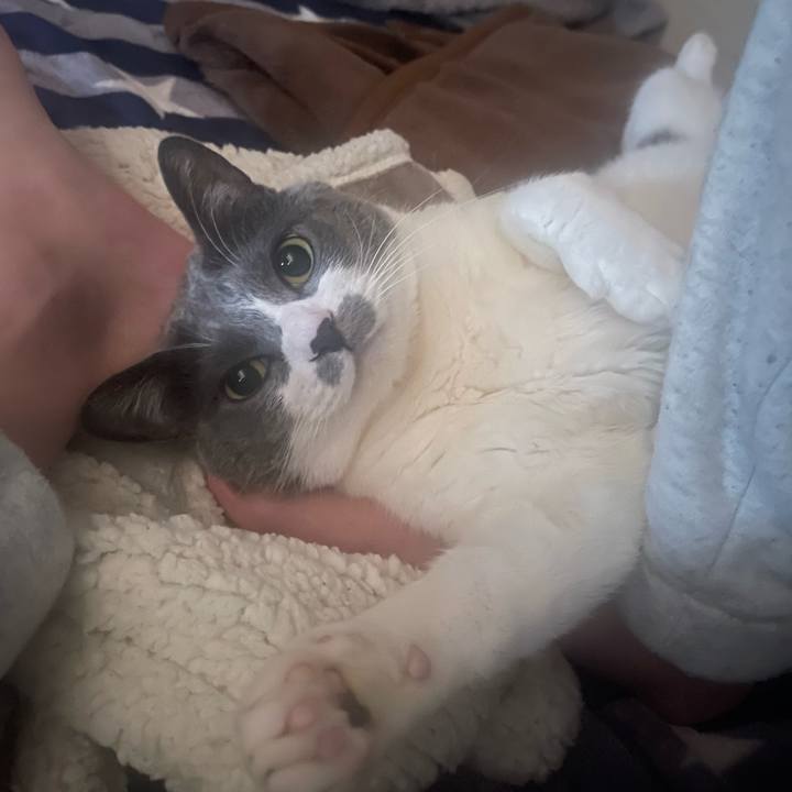 9d59fcbf b108 45dc 8677 68e5a5e94156 1713304575125