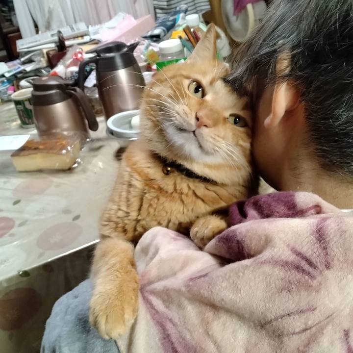 9d5a2232 ad44 4946 bca7 ae1254d41853 1764490863186