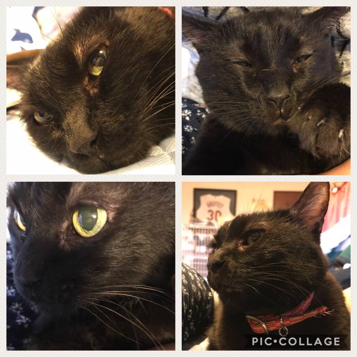 9d5a23a5 9e19 46bb 9d19 71b093726110 1526710432107