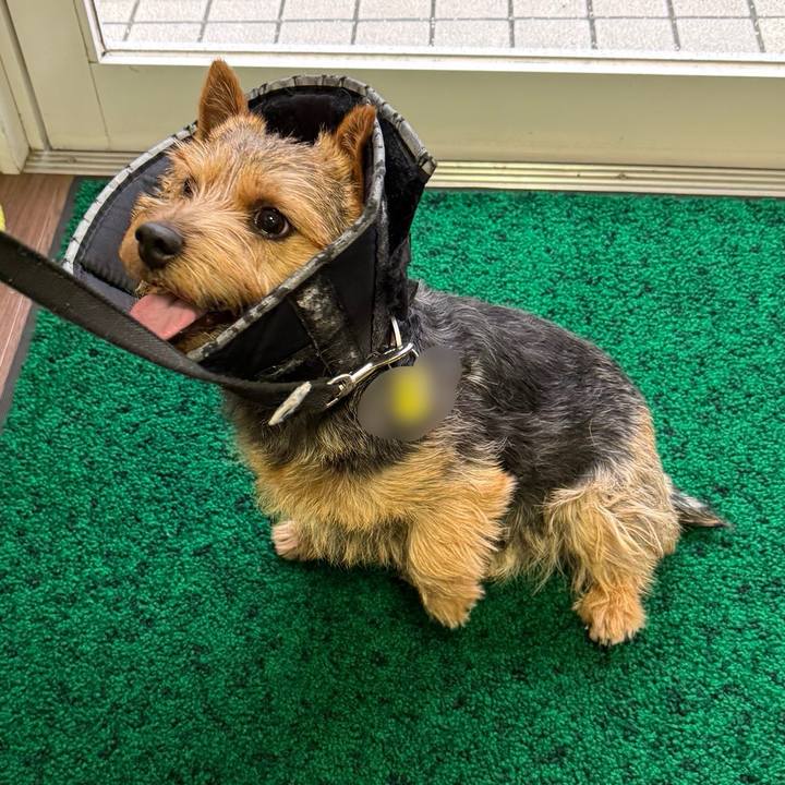 9d5a3458 9cf1 4f7a 80af b9524c03583f 1770775042416