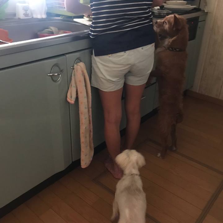 9d5a3f1e 76de 408c aa1c 2053ec4bbaaa 1565178315663