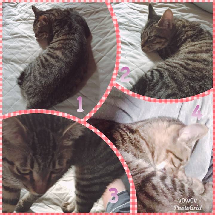 9d5a5039 1d83 4bec a3ac 80cf8efa94e2 1543371958248