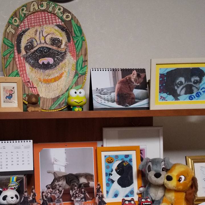 9d5a7bd9 b5c1 4293 a318 0193a21f19ed 1564228988474