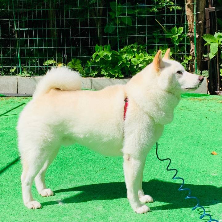 9d5ab056 cce7 440e 86fd 870a0a3628b0 1599167365162