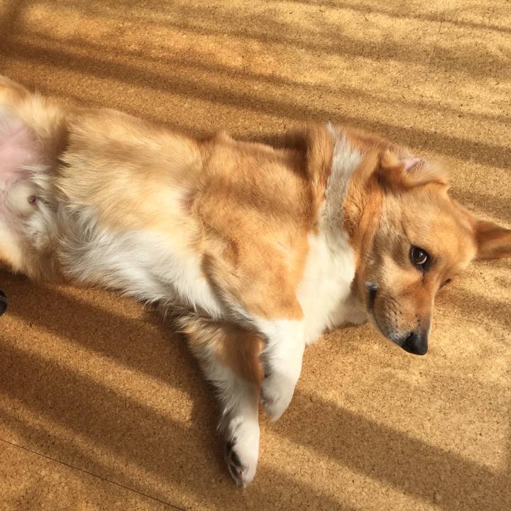 9d5abe32 1afe 4143 9551 61e652cced7e 1544959088049