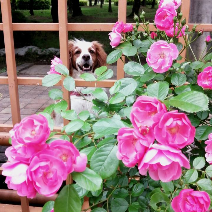 9d5acc54 f6de 4d73 89fb d1cc9afe7910 1620463285178